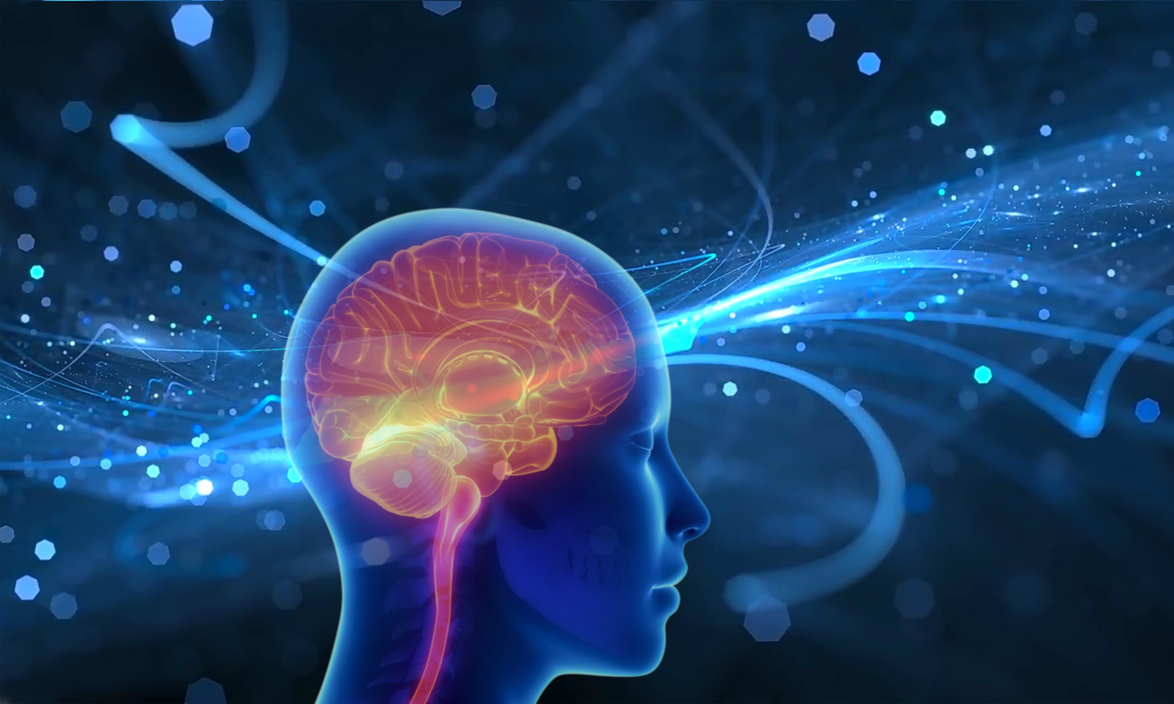 Silueta con cerebro iluminado, símbolo de la acción de la psilocibina